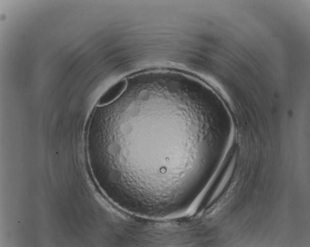 X0000073930903200608181111