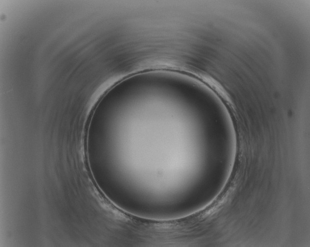 X0000073930904200608181111