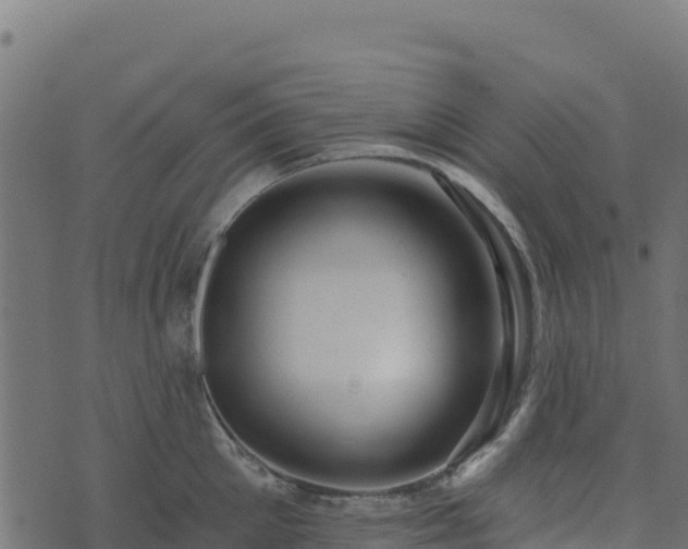 X0000073930905200608181111