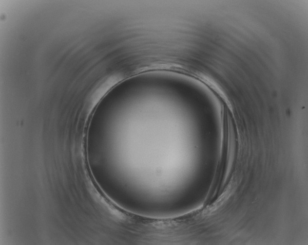 X0000073930906200608181111