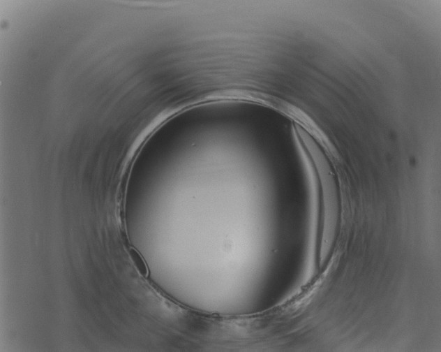 X0000073930908200608181111