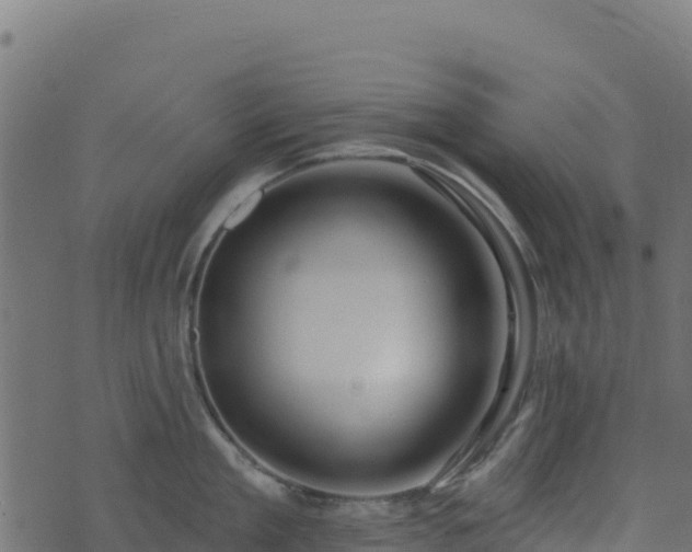 X0000073930909200608181111