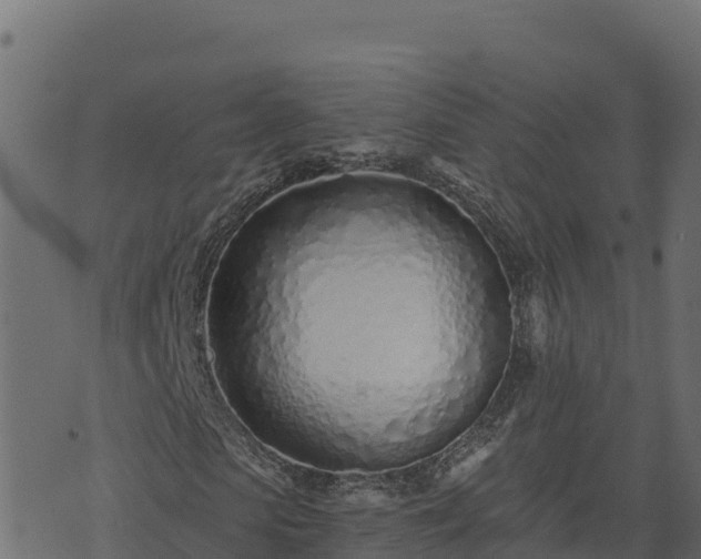 X0000073930913200608181110