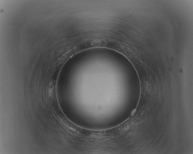 X0000073930914200608181110