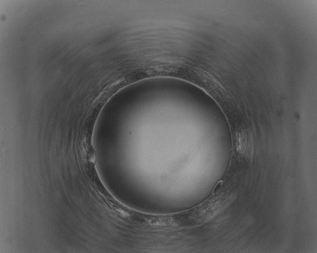 X0000073930915200608181110