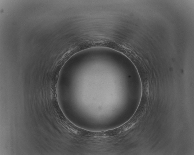 X0000073930916200608181110