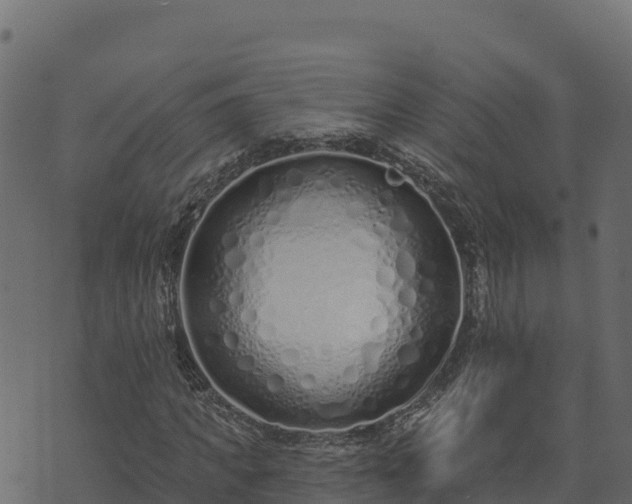 X0000073930917200608181110