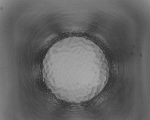 X0000073930918200608181110