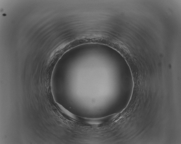 X0000073930920200608181110