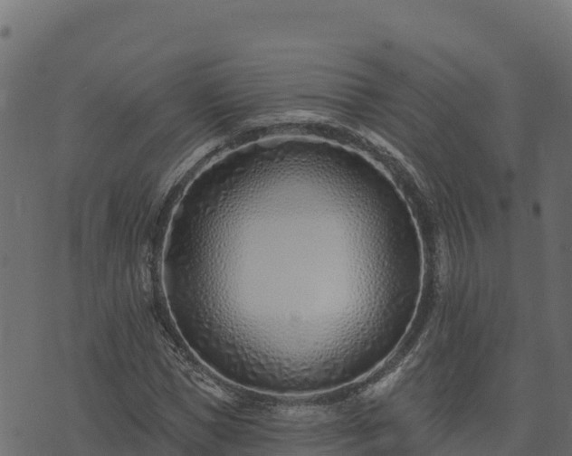 X0000073930921200608181110