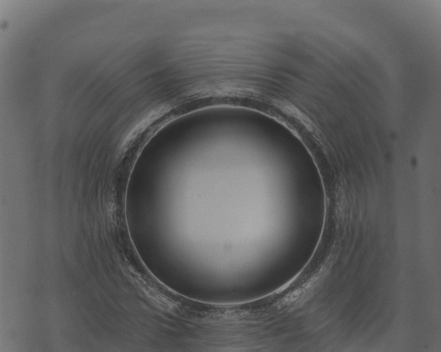 X0000073930922200608181110