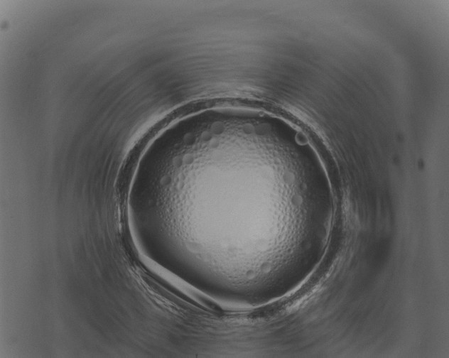 X0000073930925200608181110