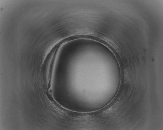 X0000073930926200608181110