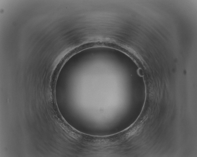 X0000073930927200608181110