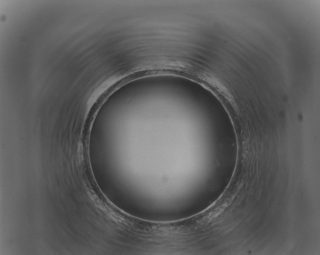 X0000073930928200608181110