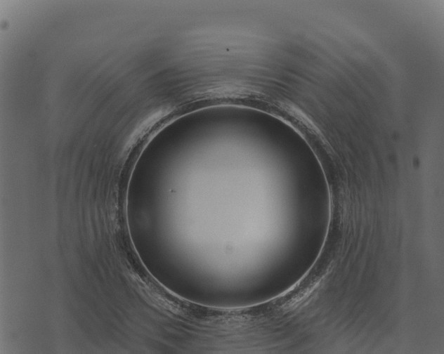 X0000073930930200608181110