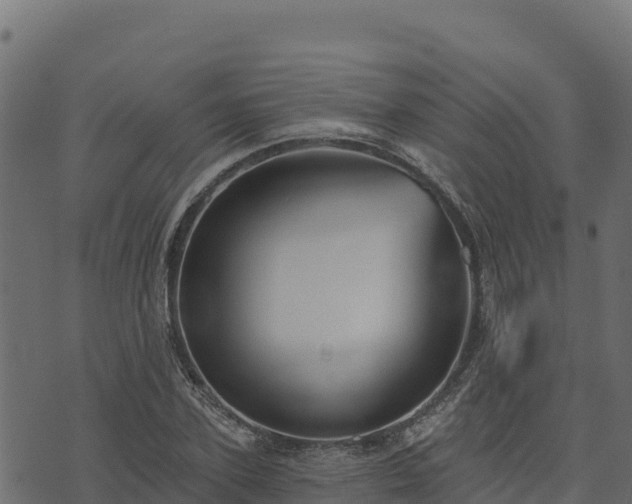 X0000073930931200608181110