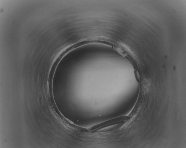 X0000073930932200608181110