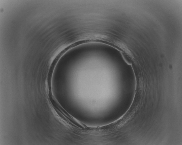 X0000073930936200608181111