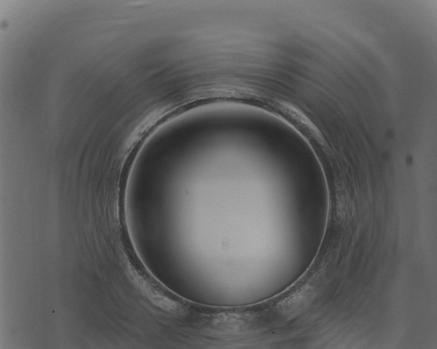 X0000073930938200608181111