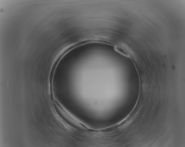 X0000073930940200608181111