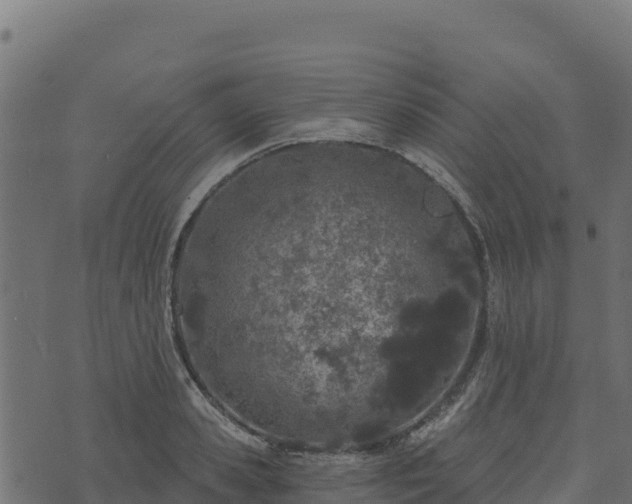 X0000073930941200608181111