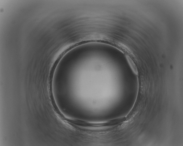 X0000073930942200608181111