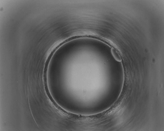 X0000073930943200608181111