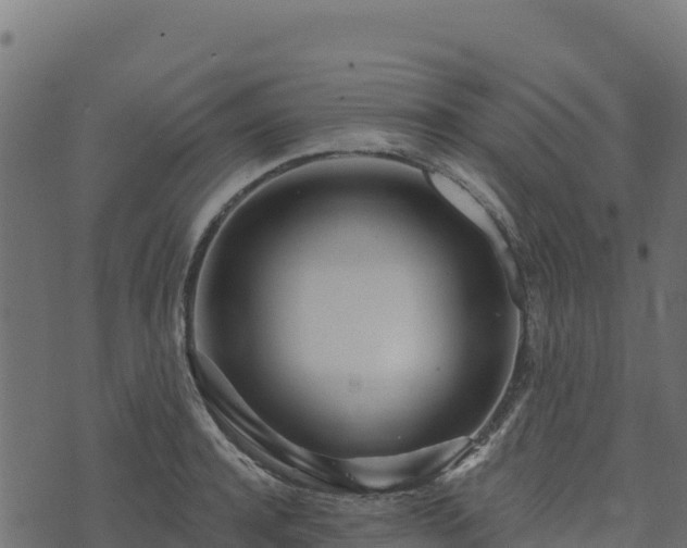 X0000073930944200608181111