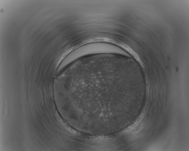 X0000073930945200608181111