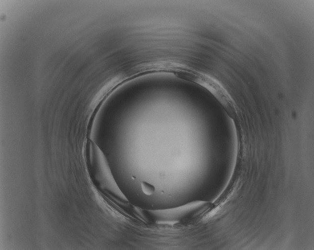 X0000073930946200608181111