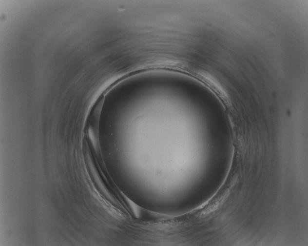 X0000073930948200608181111