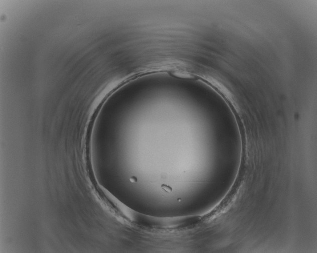 X0000073930949200608181111