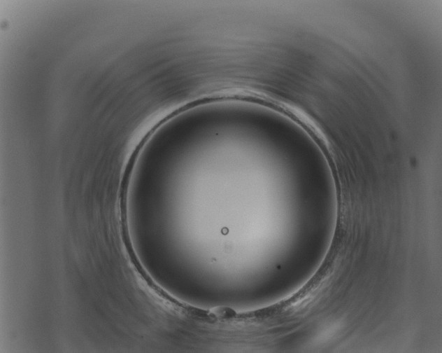 X0000073930951200608181111