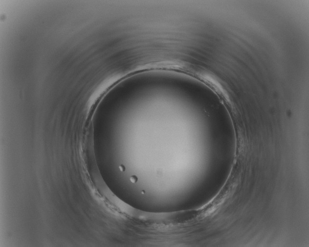 X0000073930952200608181111