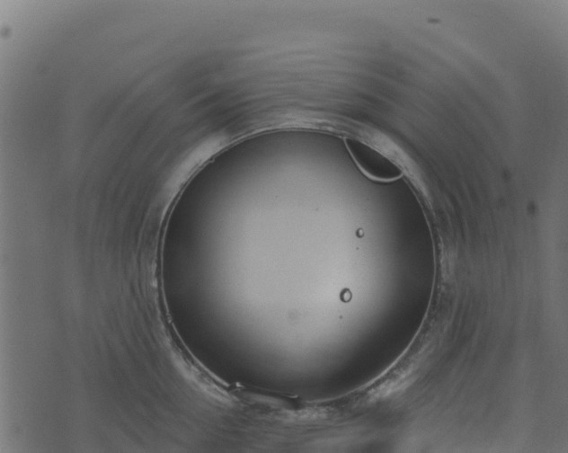 X0000073930954200608181111