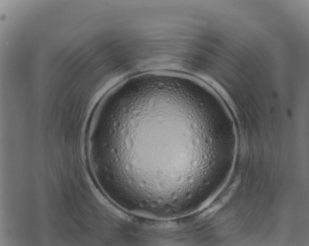 X0000073930957200608181111