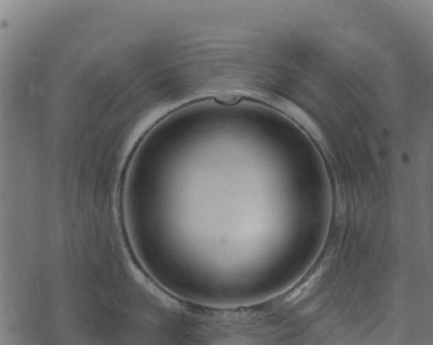 X0000073930958200608181111