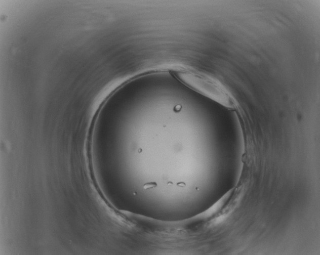 X0000073930959200608181111