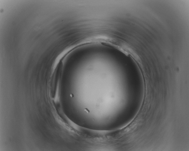 X0000073930960200608181111