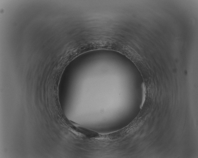 X0000073930961200608181110