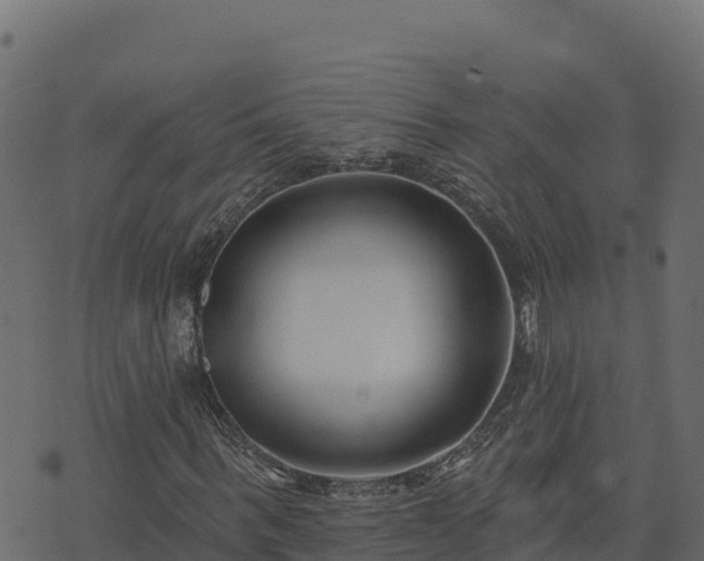 X0000073930963200608181110