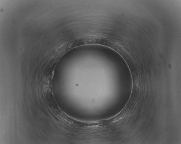 X0000073930964200608181110