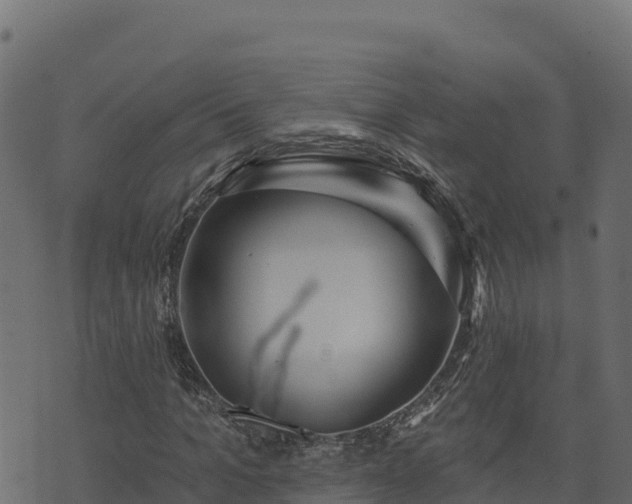 X0000073930965200608181110