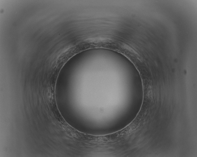 X0000073930966200608181110