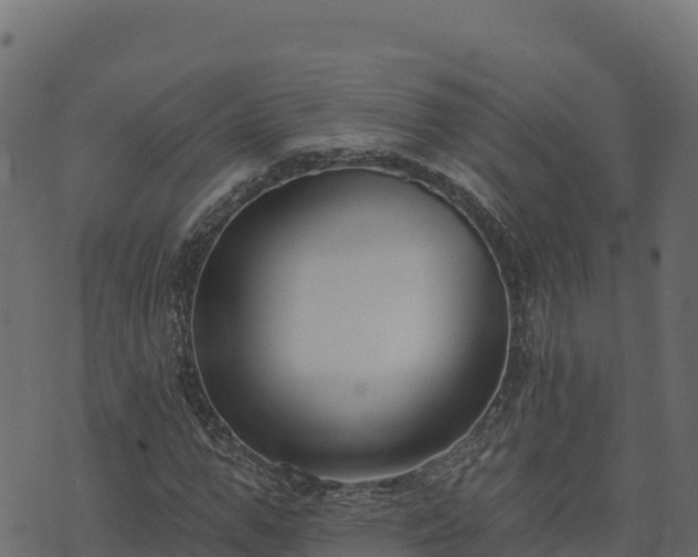 X0000073930967200608181110