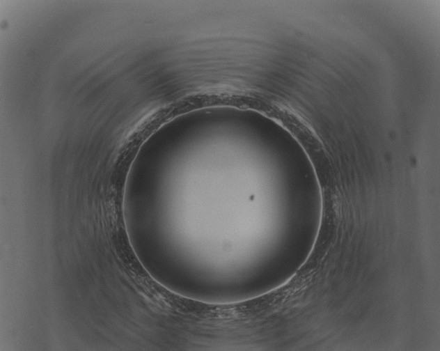 X0000073930968200608181110