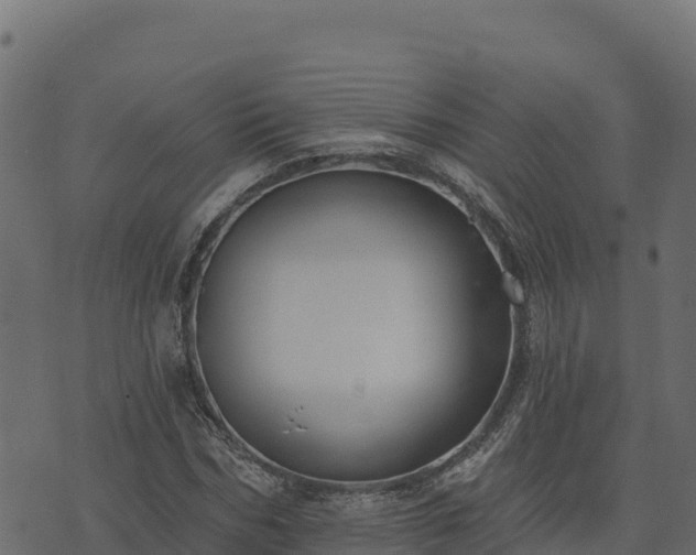 X0000073930970200608181110