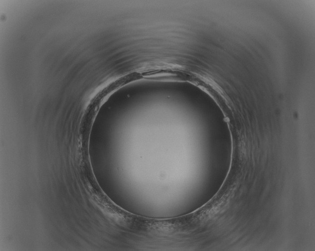 X0000073930971200608181110