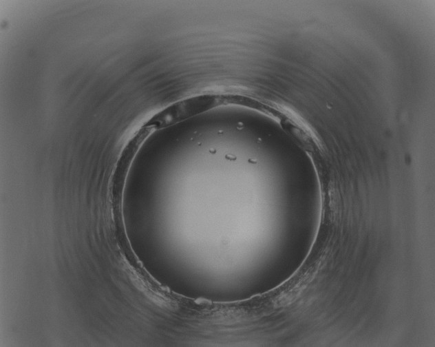 X0000073930972200608181110